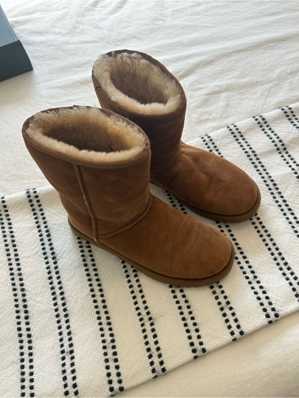 Classic Chestnut Ugg Boots short
